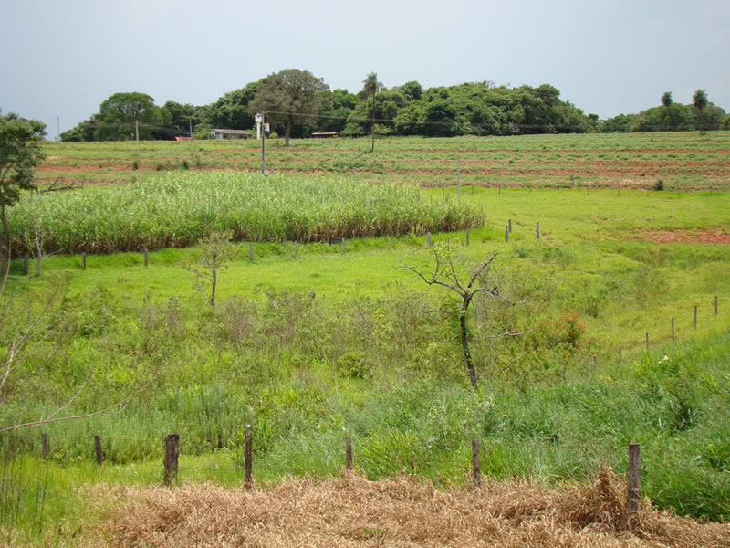 Como era a estancia da mata